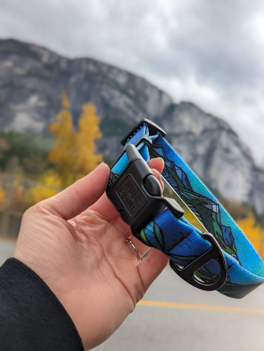 West Coast Waterproof Collar