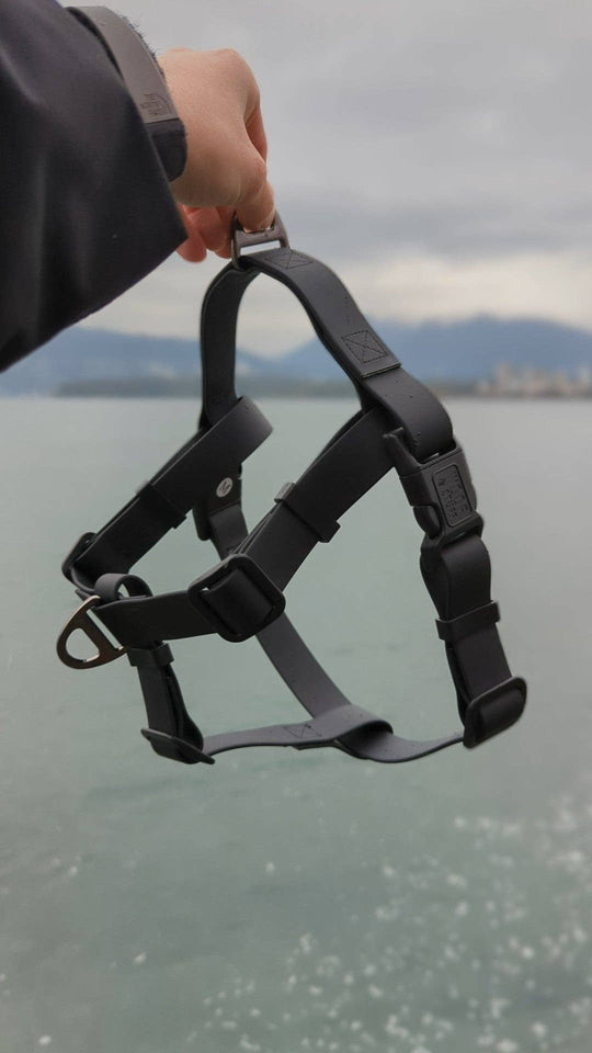 Raven Waterproof Adventure Harness
