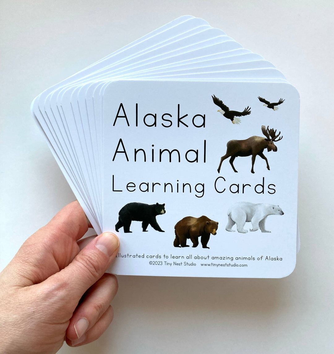 Alaska Animal Learning Cards