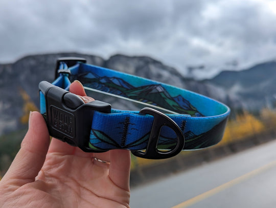 West Coast Waterproof Collar