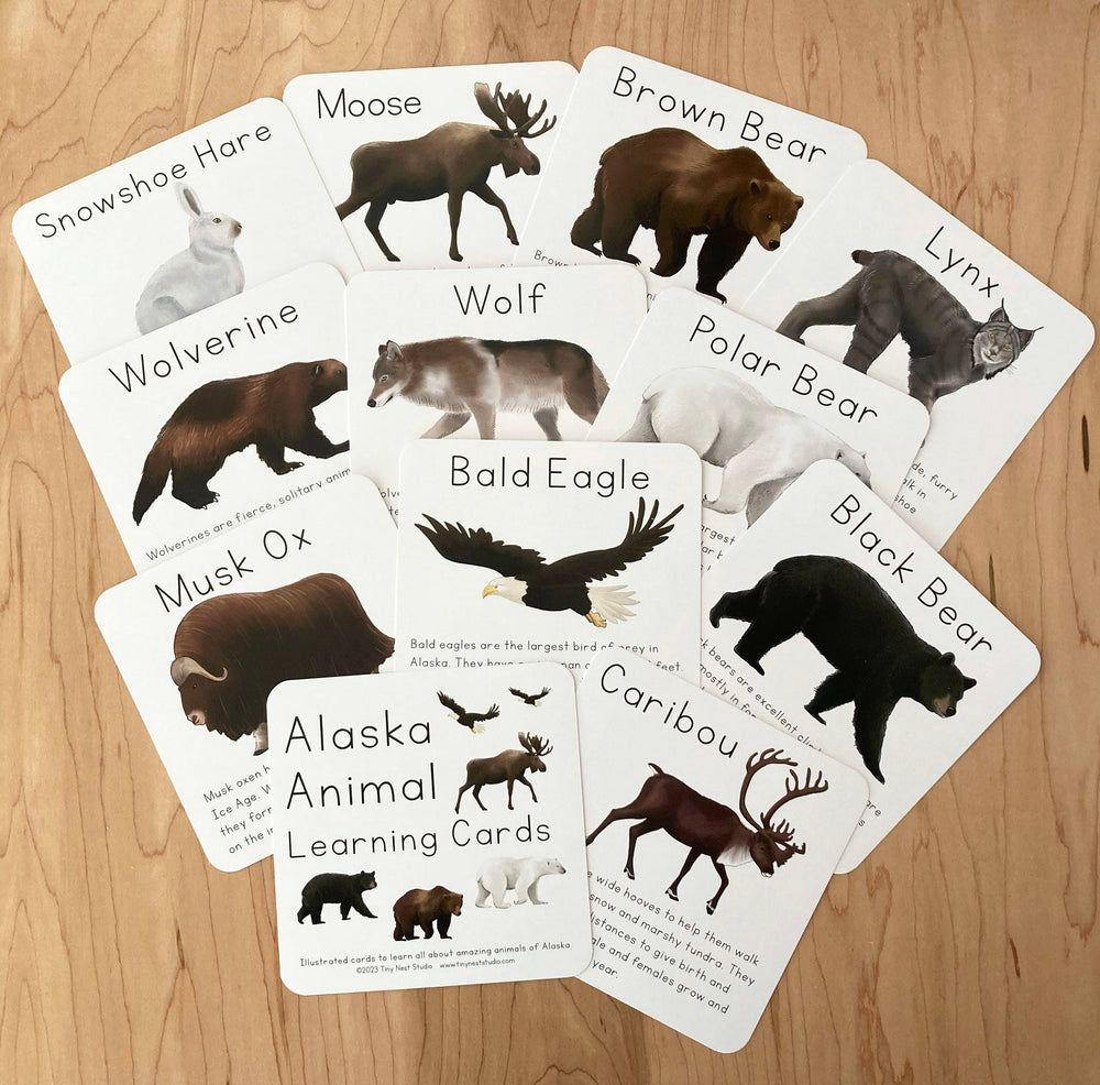 Alaska Animal Learning Cards