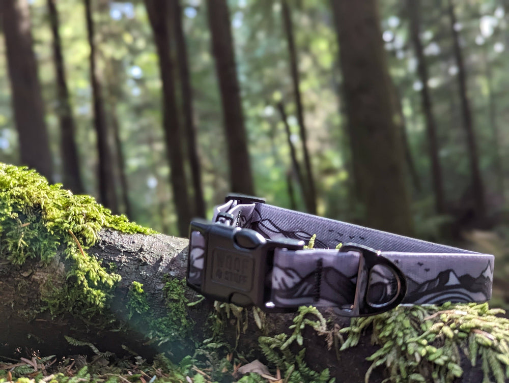 Moonlight Waterproof Collar