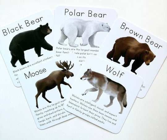 Alaska Animal Learning Cards
