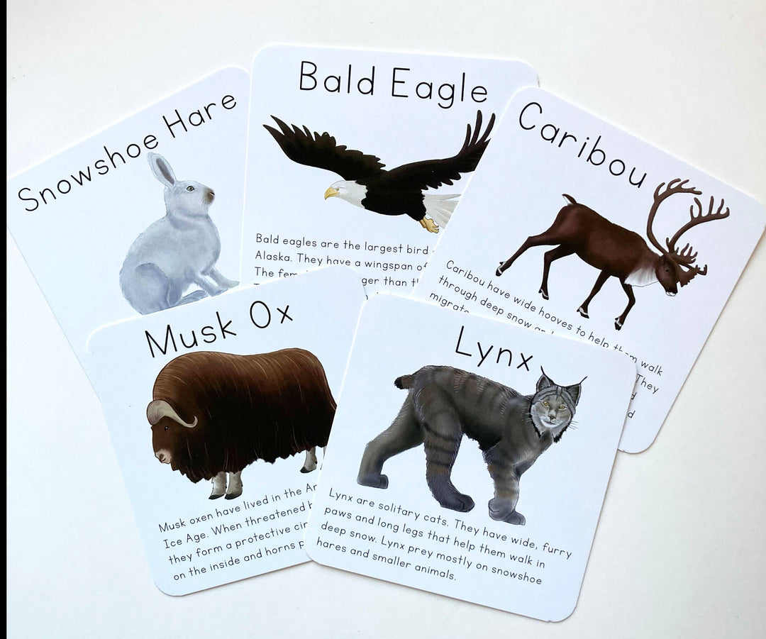 Alaska Animal Learning Cards