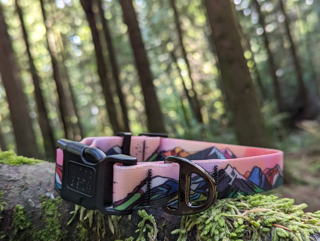 Sunrise Peaks Waterproof Collar