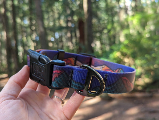 Midnight Sun Waterproof Collar