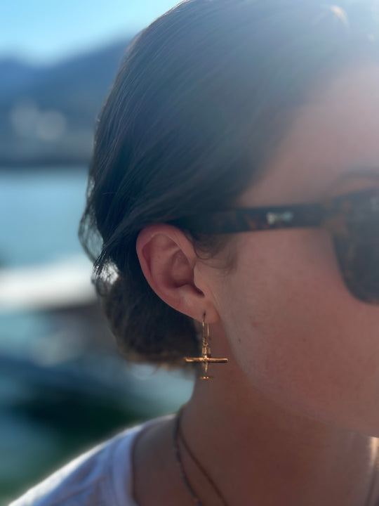 Airplane Hook Earrings