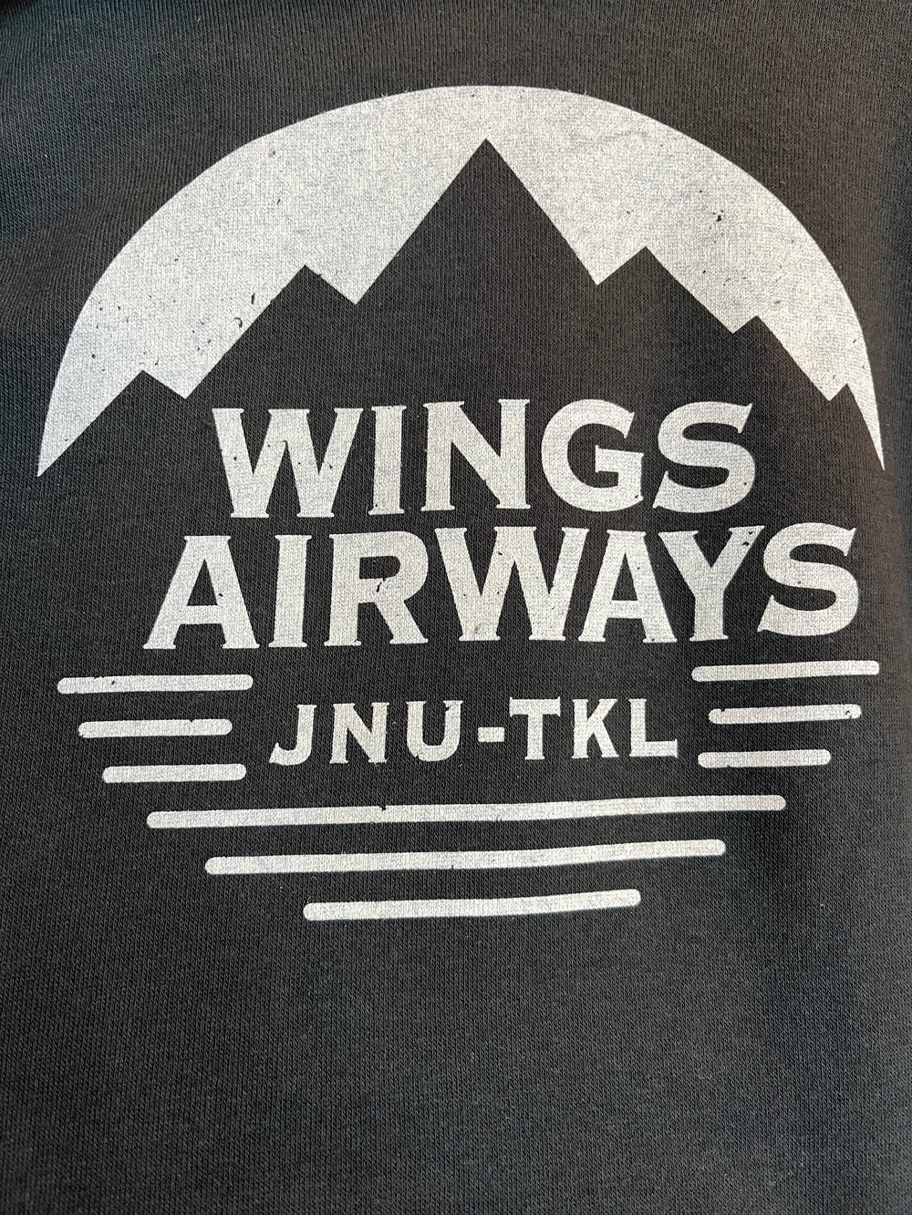 Wings Airways Mountain Hoodie