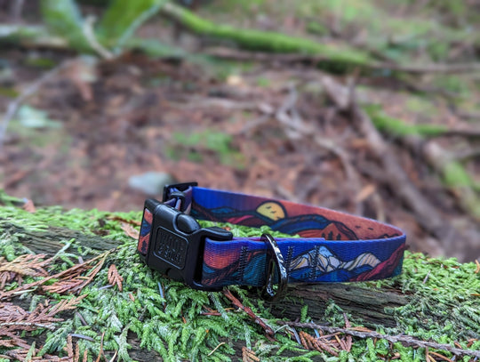 Midnight Sun Waterproof Collar