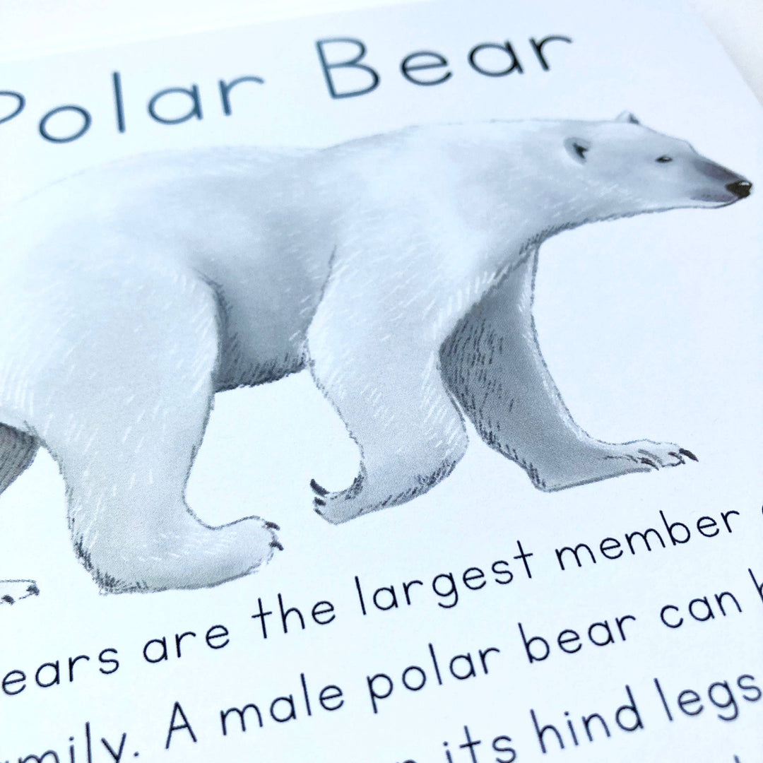 Alaska Animal Learning Cards