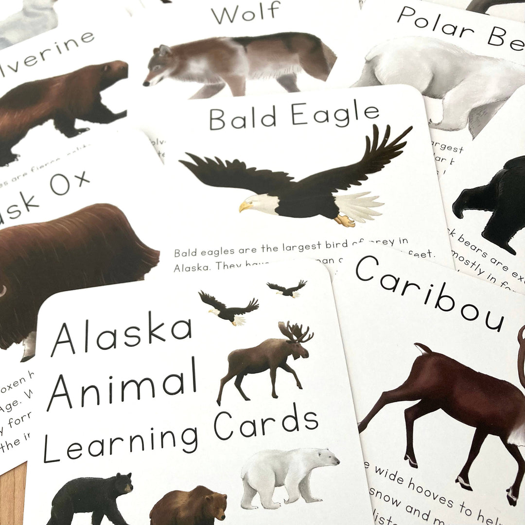 Alaska Animal Learning Cards
