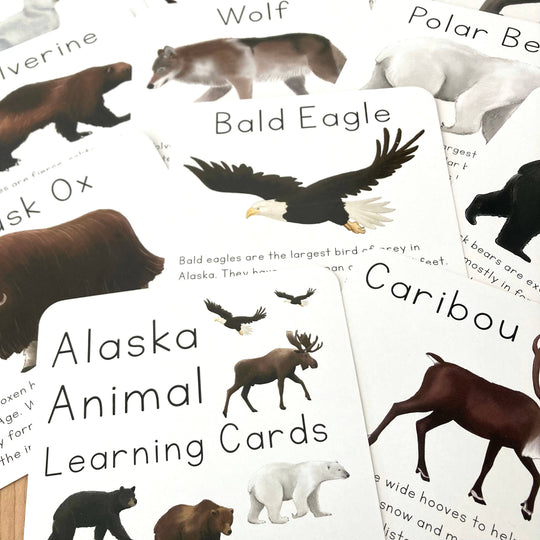Alaska Animal Learning Cards